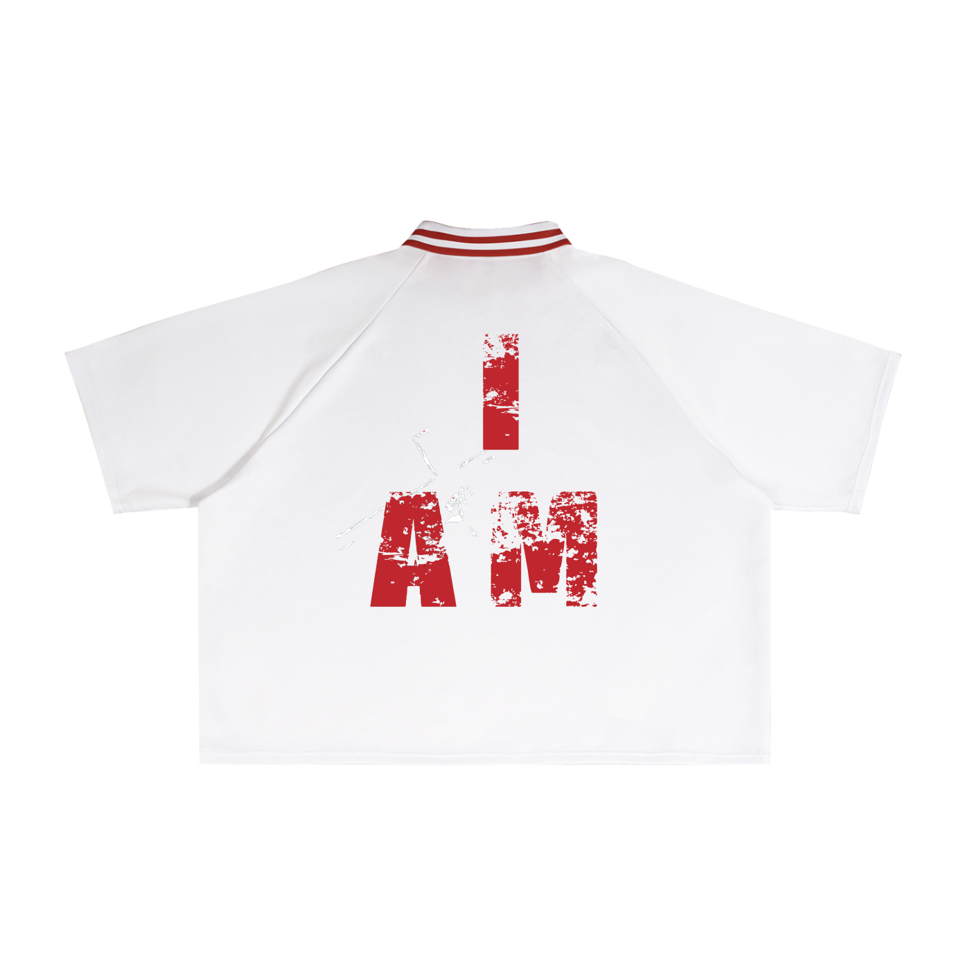 Contrast Lapel Collar Boxy T-Shirt