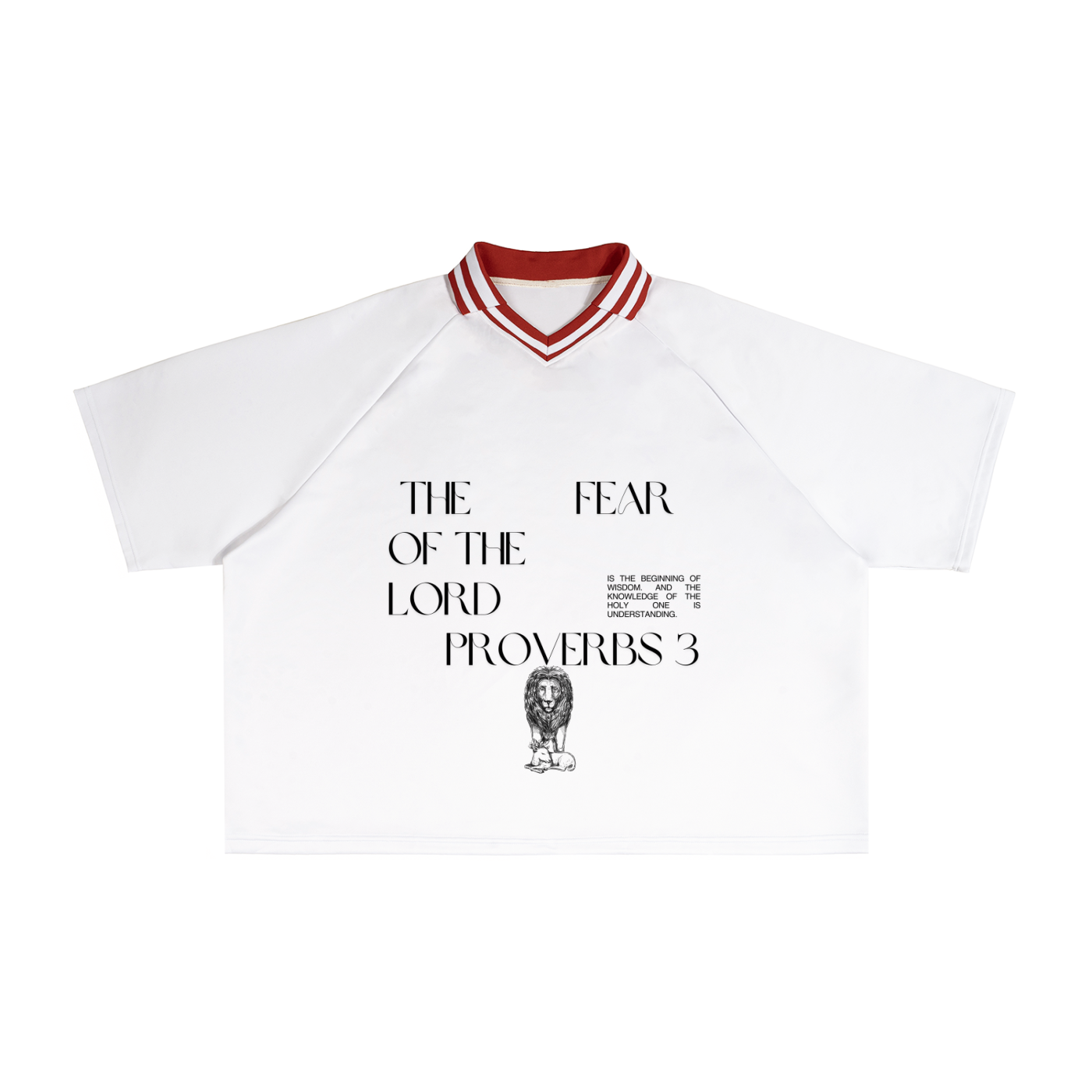 Contrast Lapel Collar Boxy T-Shirt
